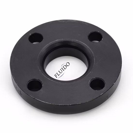 ASME ANSI B16.5 DIN En1092-2 GOST 표준 블라인드/슬립온/웰드 넥 플랜지 제조업체에 따른 스테인레스강/탄소강 수도관 플랜지
